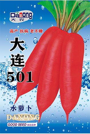 大连501（水萝卜）