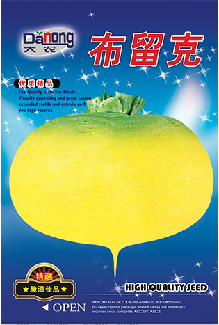布留克