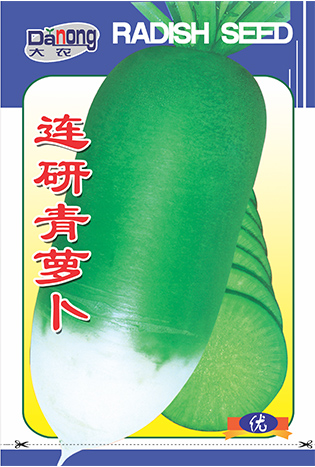 连研青萝卜