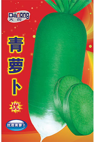 青萝卜（优）